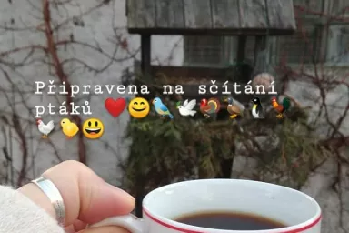 Sčítání ptáků 2025 Sčítání ptáků 2025