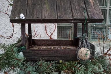 Krmítko s lojovou koulí Krmítko s lojovou koulí