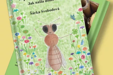 Kniha pro děti Api moudrá včelka