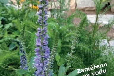 Kniha Rozmanitá zahrada - zaměřeno na vodu Kniha Rozmanitá zahrada - zaměřeno na vodu