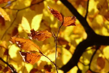 Říjen v přírodní zahradě